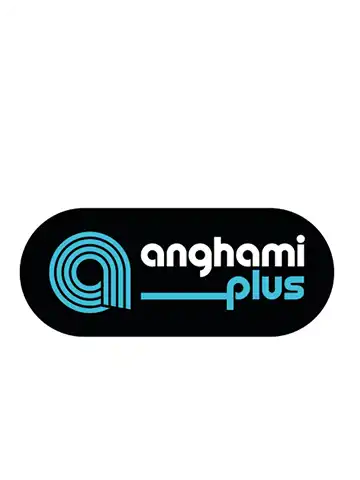 Anghami plus 1 year